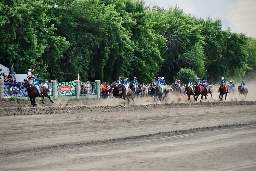 Júırikter shyqty jarysqa