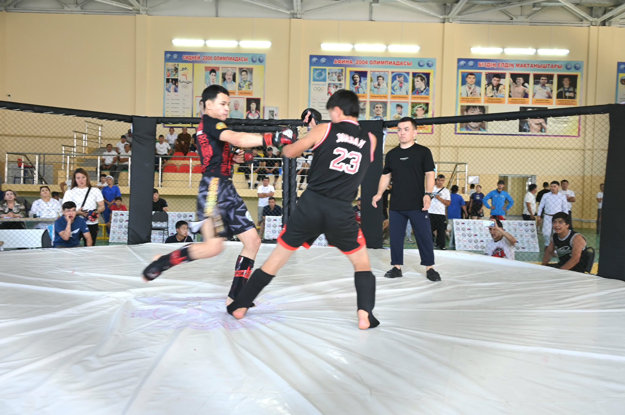 Jetisaıda jekpe-jekten Ortalyq Azııa ashyq kýbogi ótti