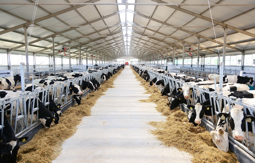 Aýyldan ashylǵan «aqyldy» ferma