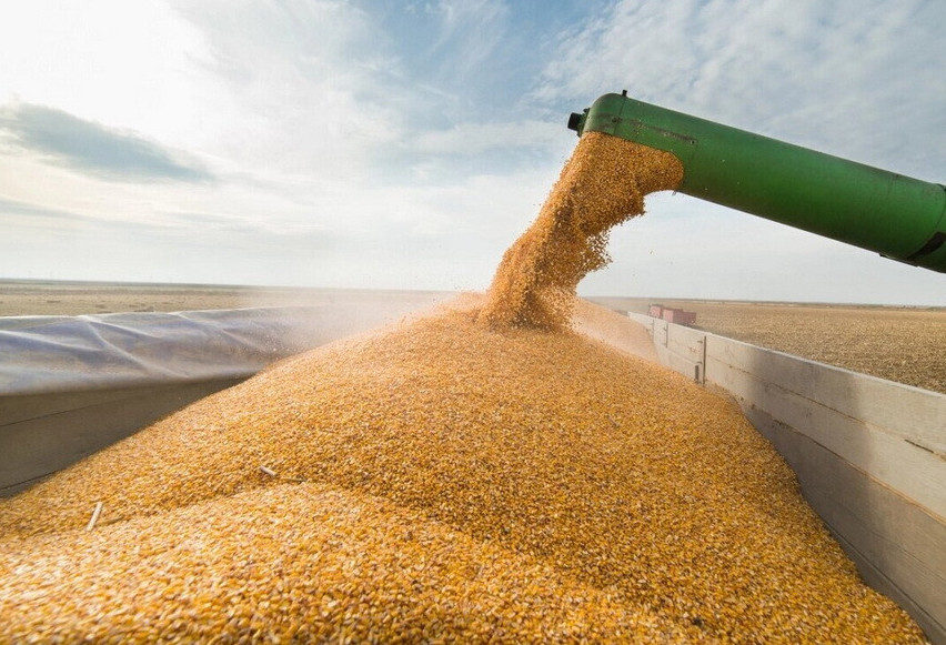 Qazaq bıdaıy Vetnamǵa eksporttala bastady