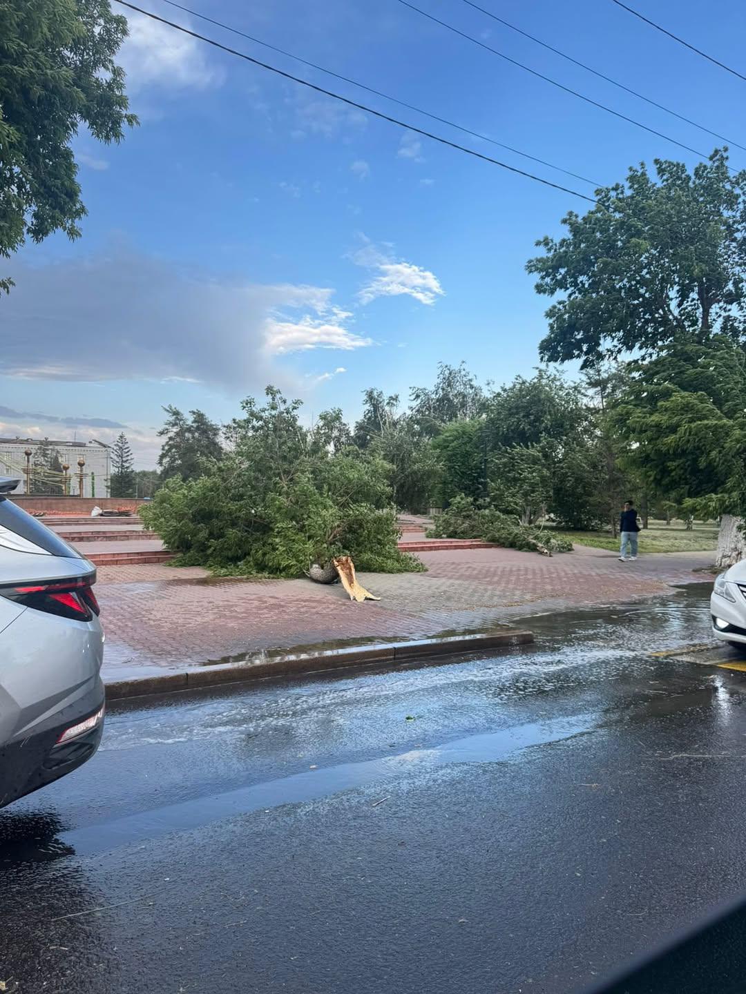 Pavlodar oblysynda daýyldan 16 adam zardap shekken