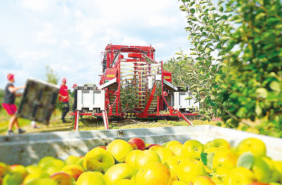 90 tonna ónim jınaıdy