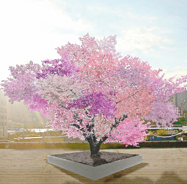 Bir aǵashta qyryq jemis ósedi