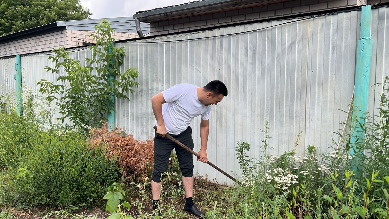 Volonterlar qarttarǵa qolqabys jasady