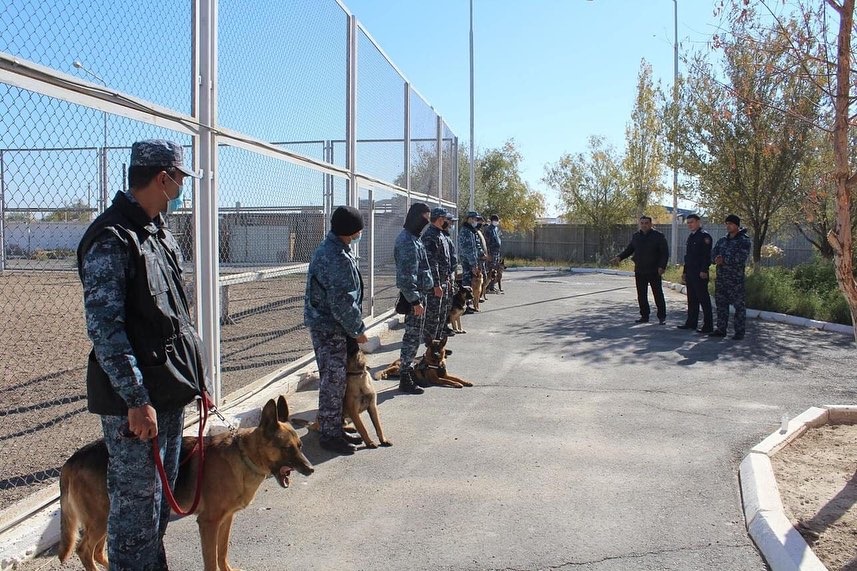 Qyzylordada ıisshil ıtter kómegimen 112 qylmys ashyldy