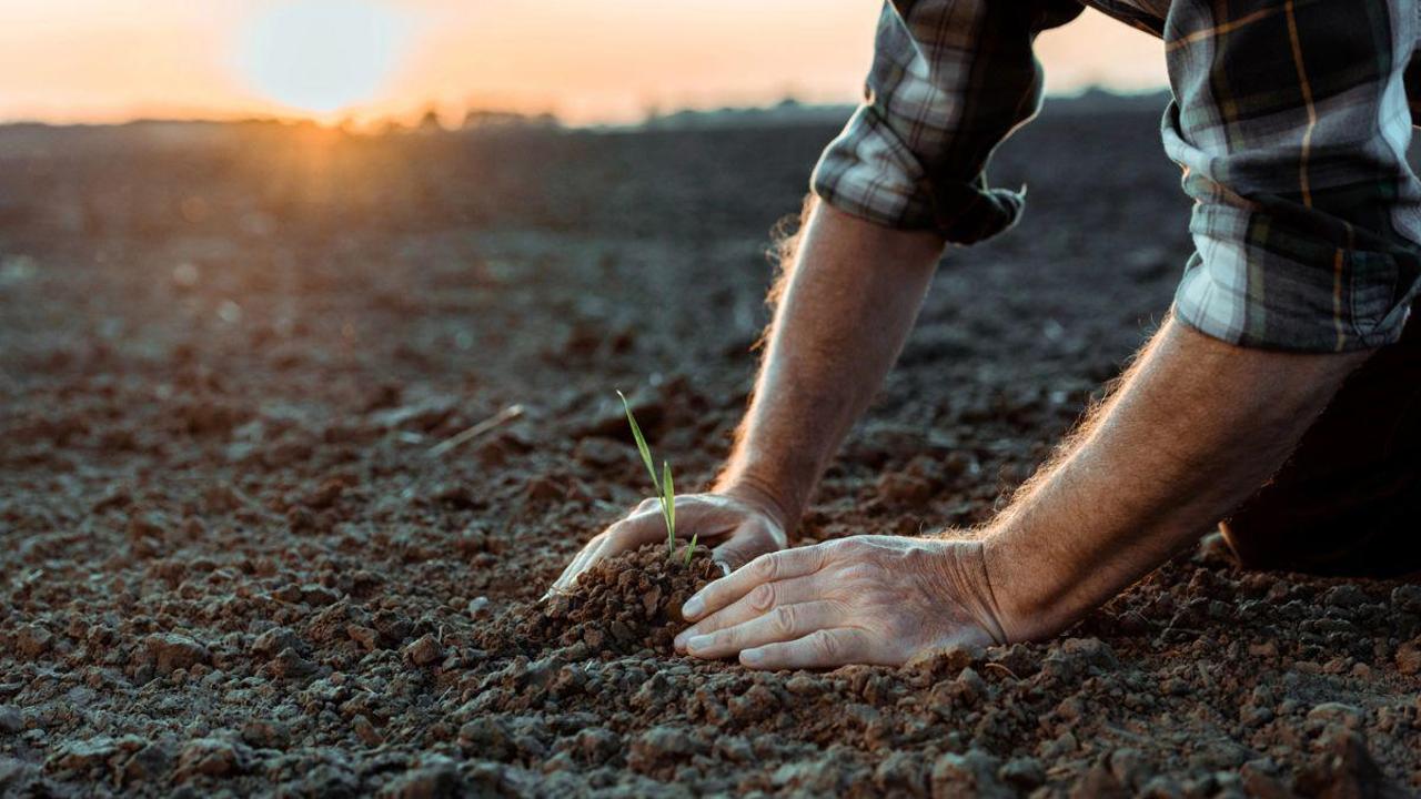 Eki oblysta fermerlik dalalyq mektepter ashylady