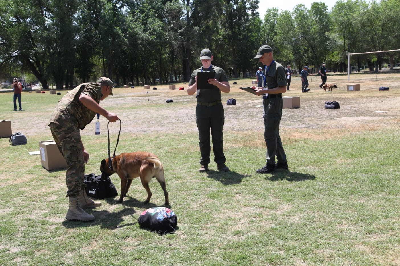 Trotıl ıisinen taısalmaıtyndar