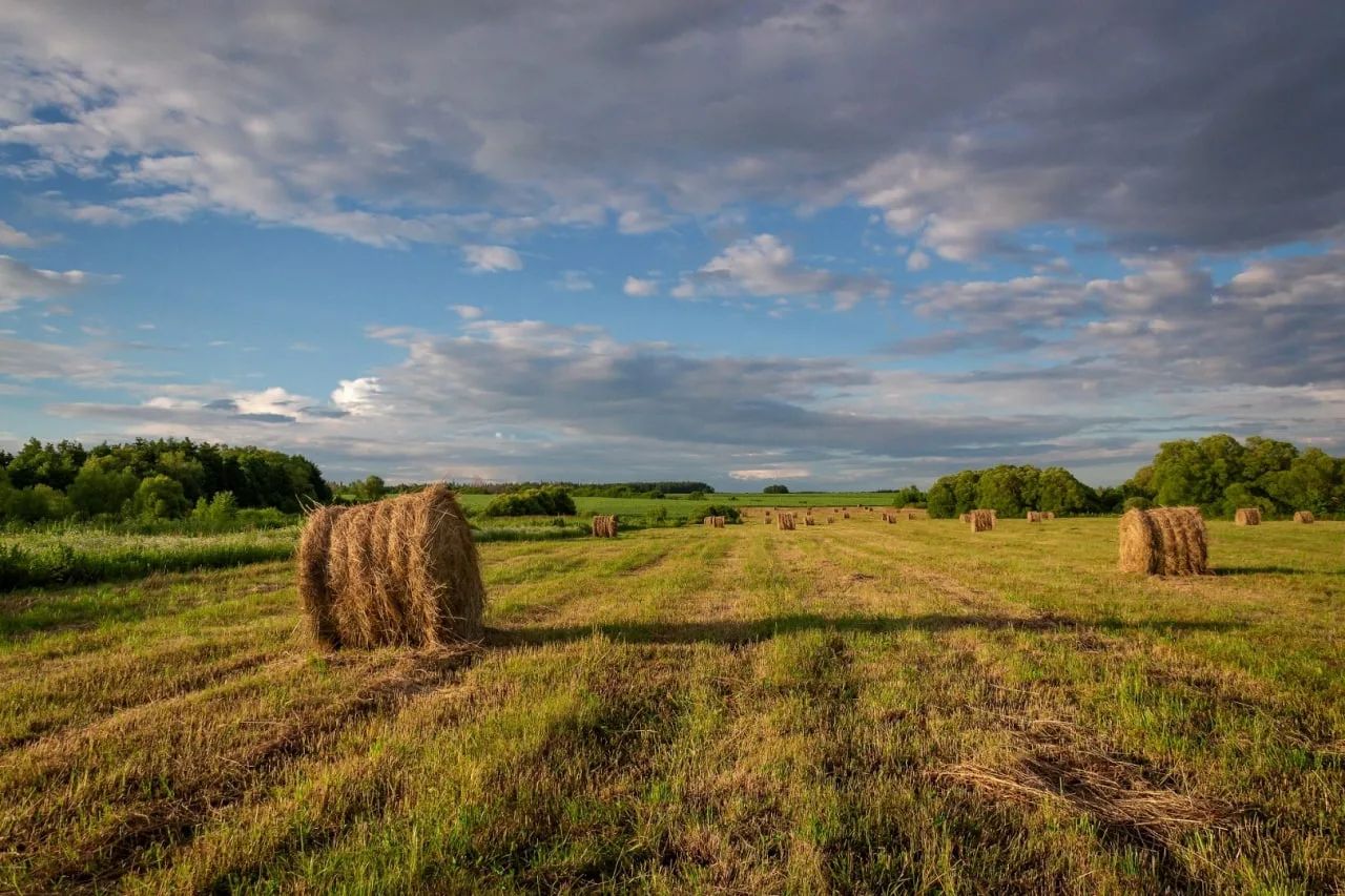 Shabyndyq máselesi sheshimin tabady