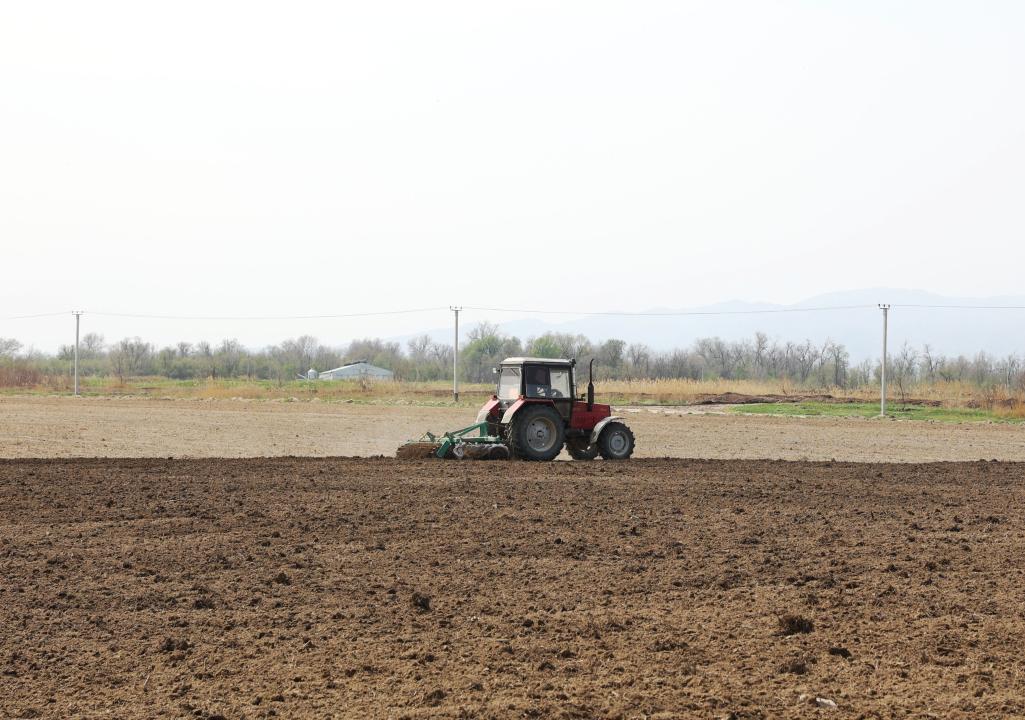 Kóktemgi dala jumystary aıaqtaldy