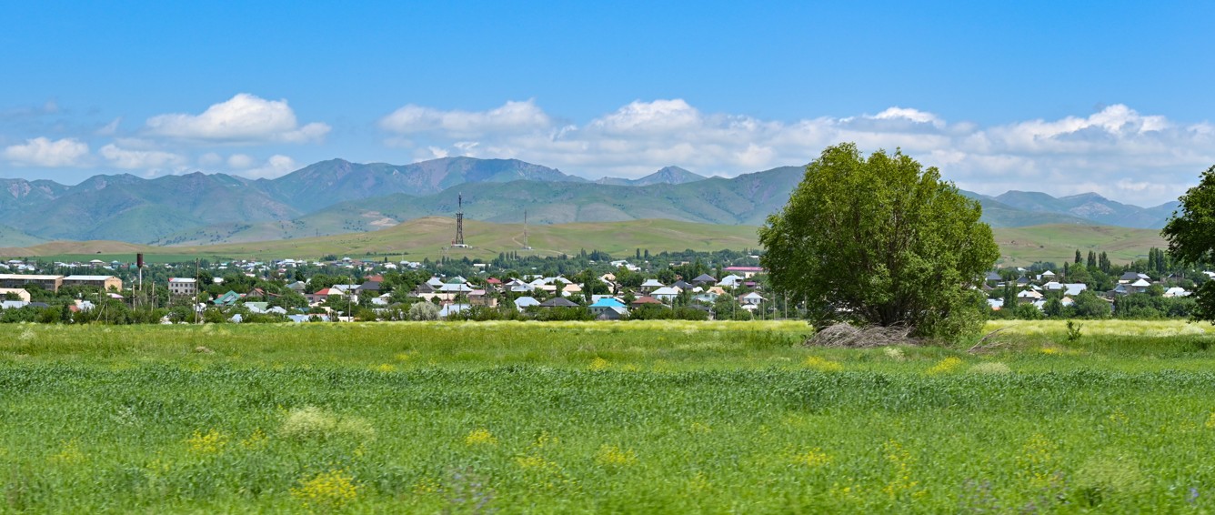 Aýyldy órkendetetin aýqymdy joba