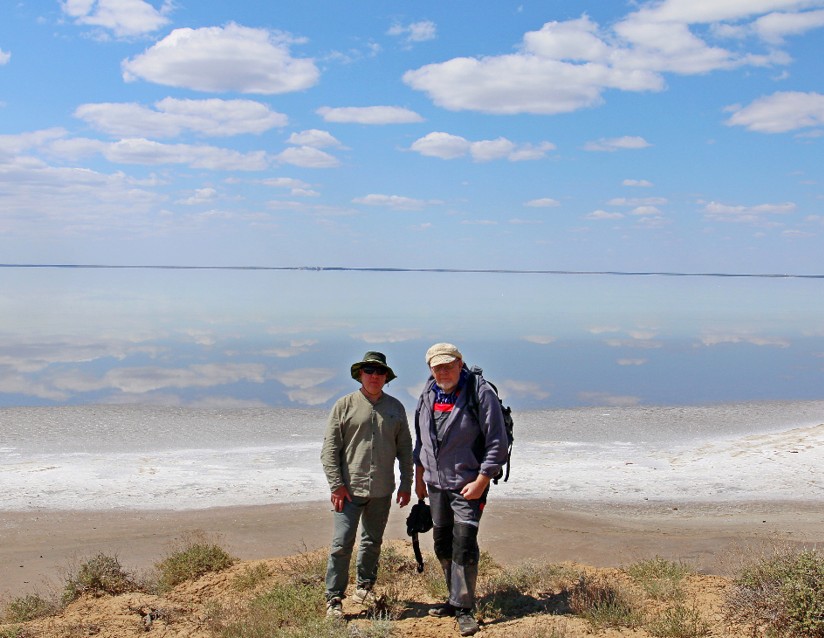 Kópjyldyq ósimdiktiń jańa túri