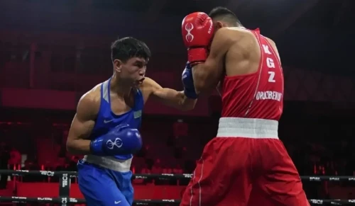 Elordada bokstan Álem kýbogi ótip jatyr