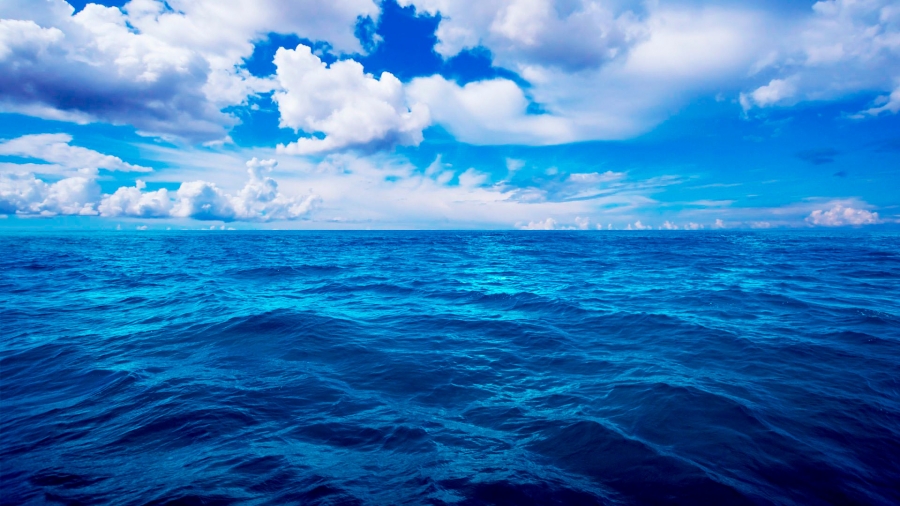 Teńiz sýynyń qupııasy