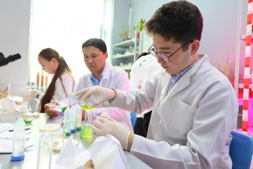 Ekojúıeni ósimdikpen qalpyna keltirý ádisi tabyldy