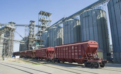 Astyq eksporty 60 paıyzǵa artty