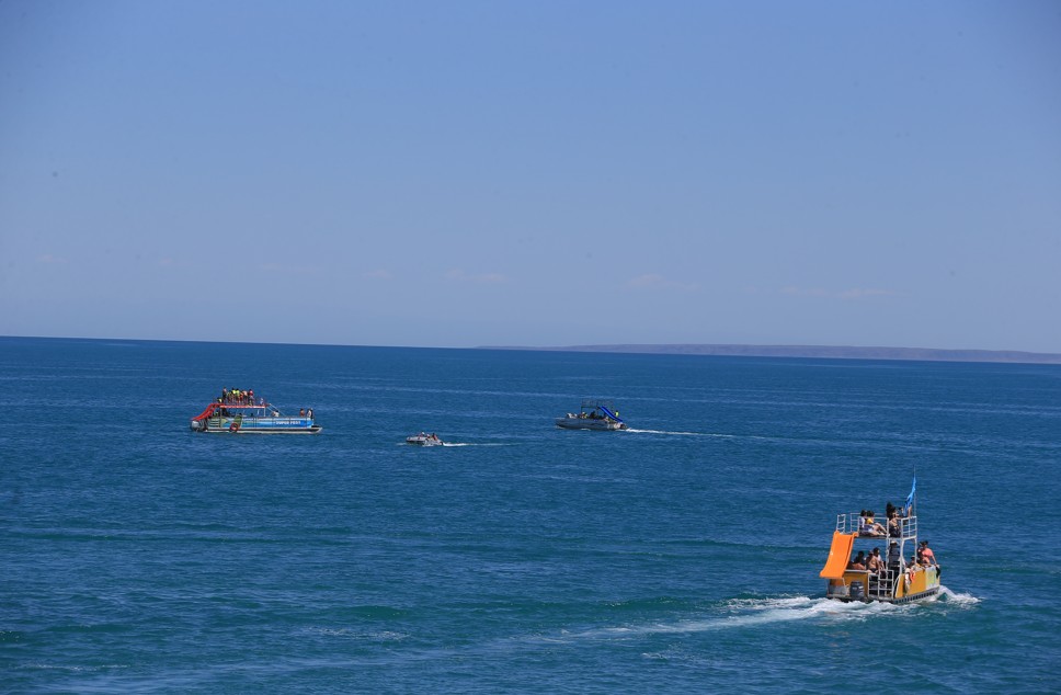 Jetisýǵa jeteleıtin jeti sebep