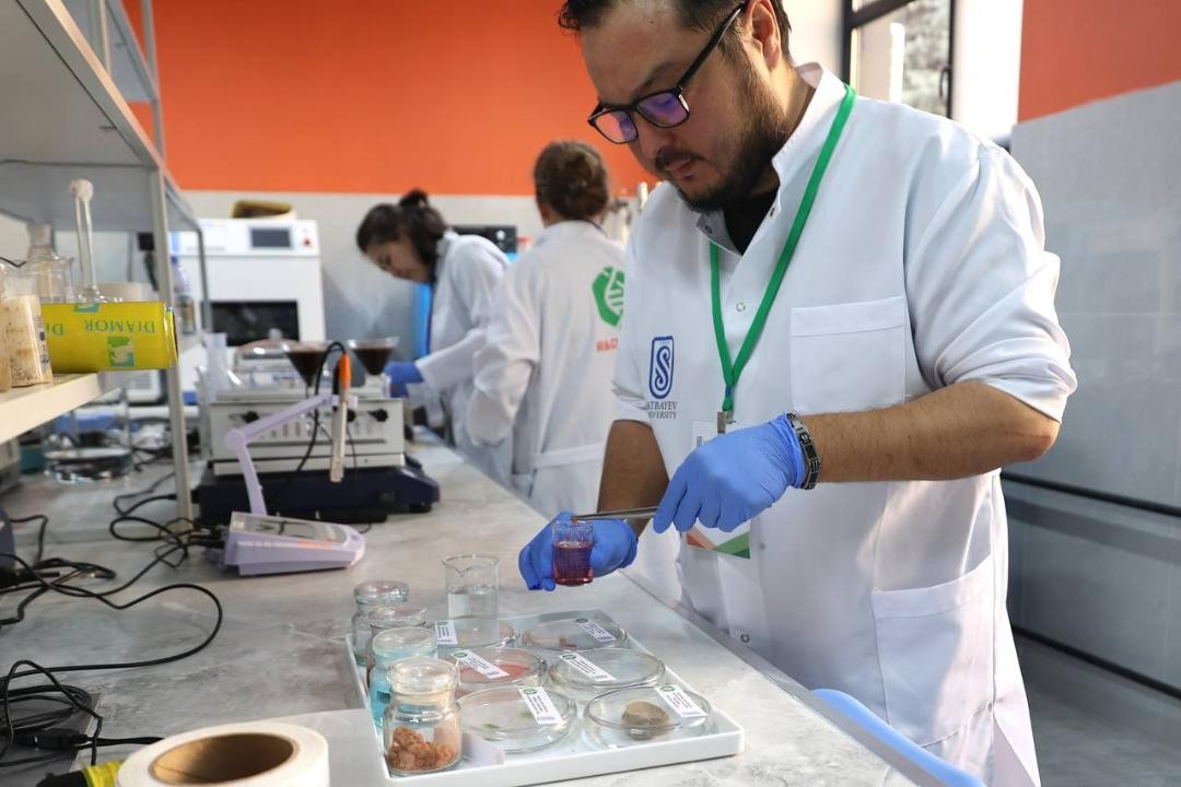 Sýdyń suraǵany – sorbent