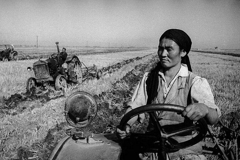 Traktor tizgindegen áıelder