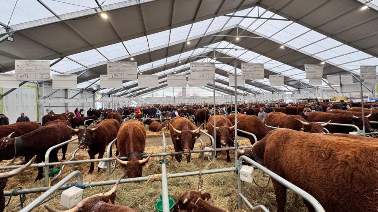 SQO-da 22 iri ınvestısııalyq agrojoba iske asyrylady