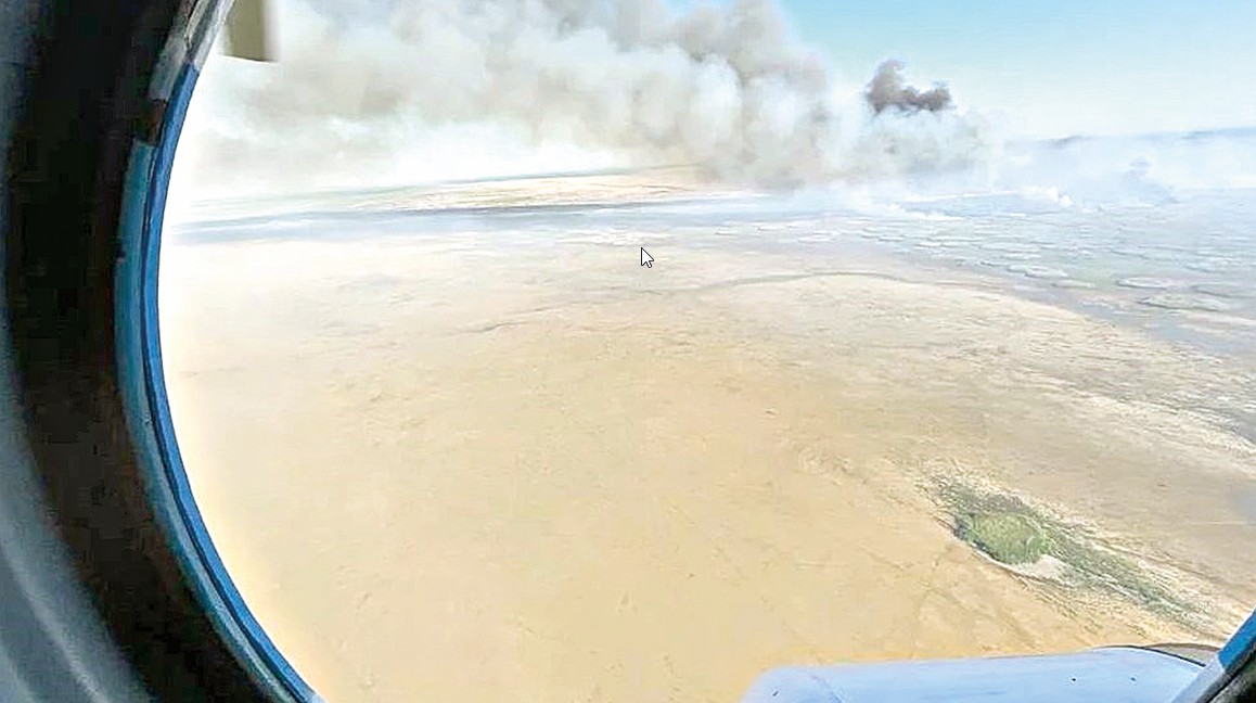 Qamys órti nege jıi qaıtalanady?