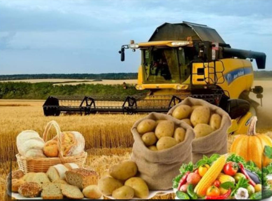 Qazaqstanda tamaq ónimderiniń óndirisi artty