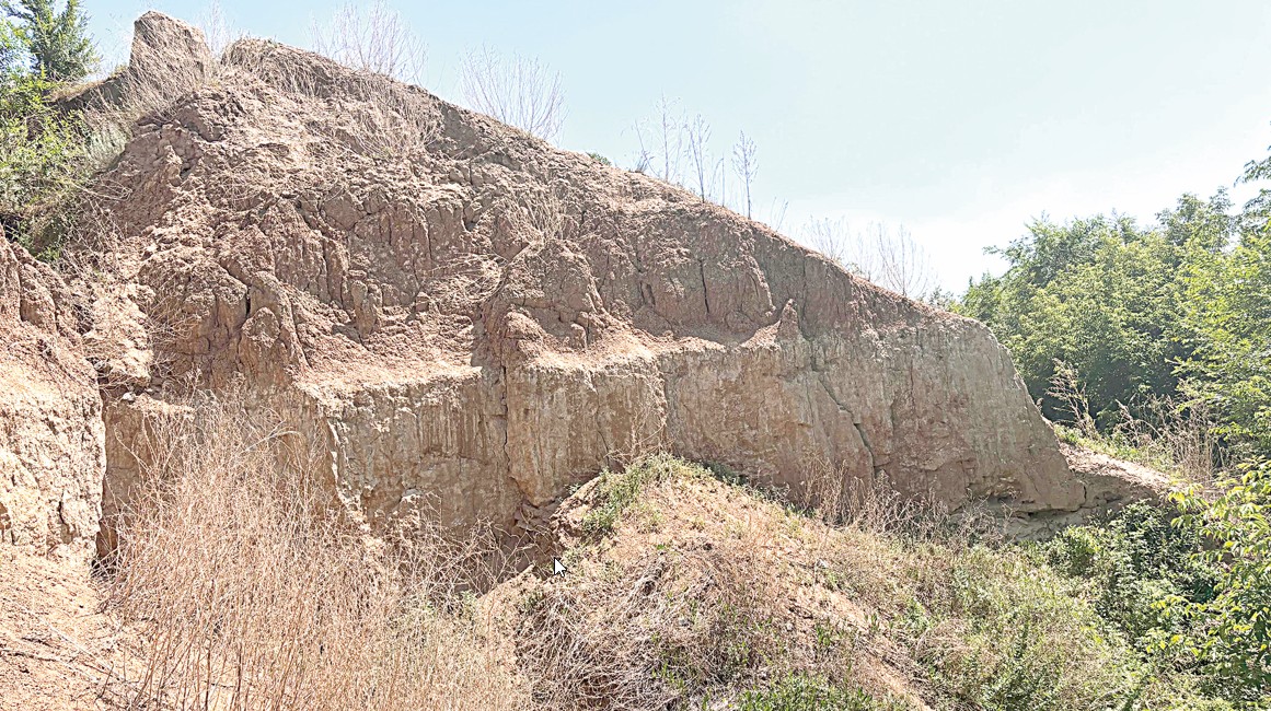 «Qazqonaqty» qalaı saqtap qalamyz?