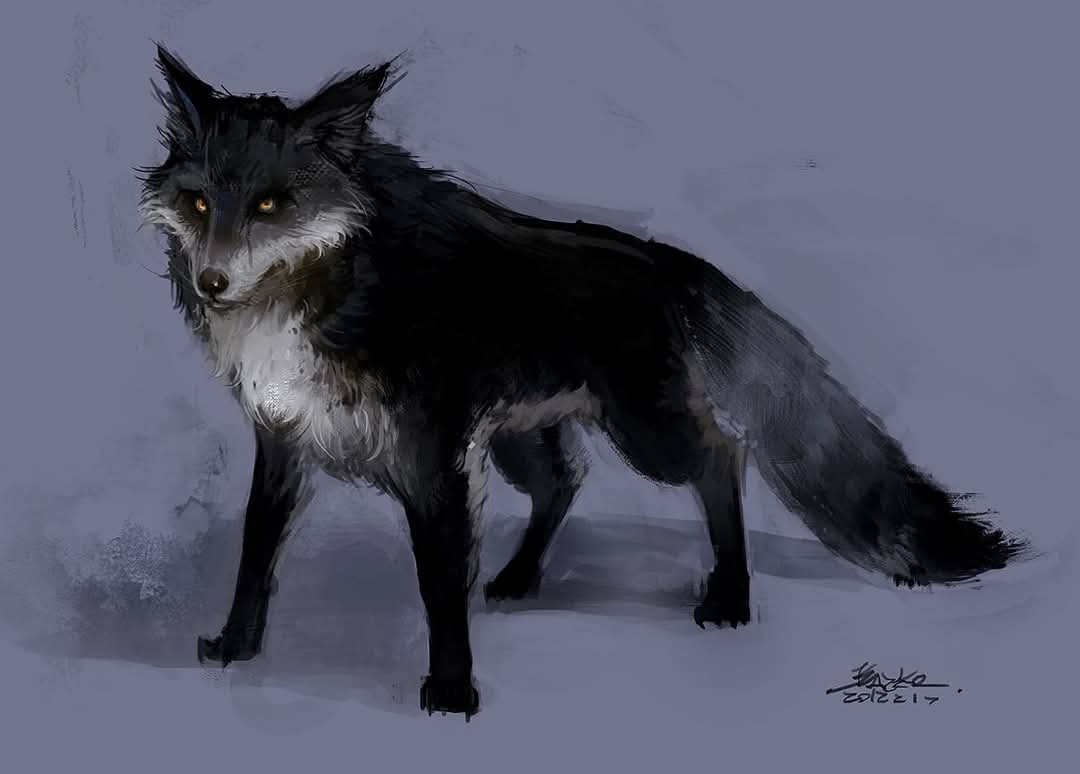 Qara túlki –  qarmaljyq