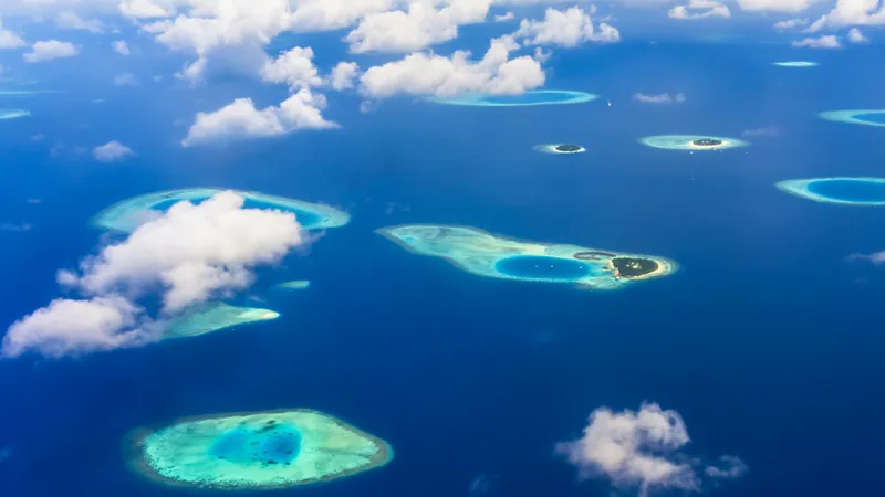 Japonııada 2000-nan astam jer silkinisi tirkeldi