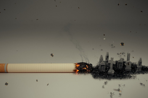 Elimizde temeki shegetinder azaıyp keledi