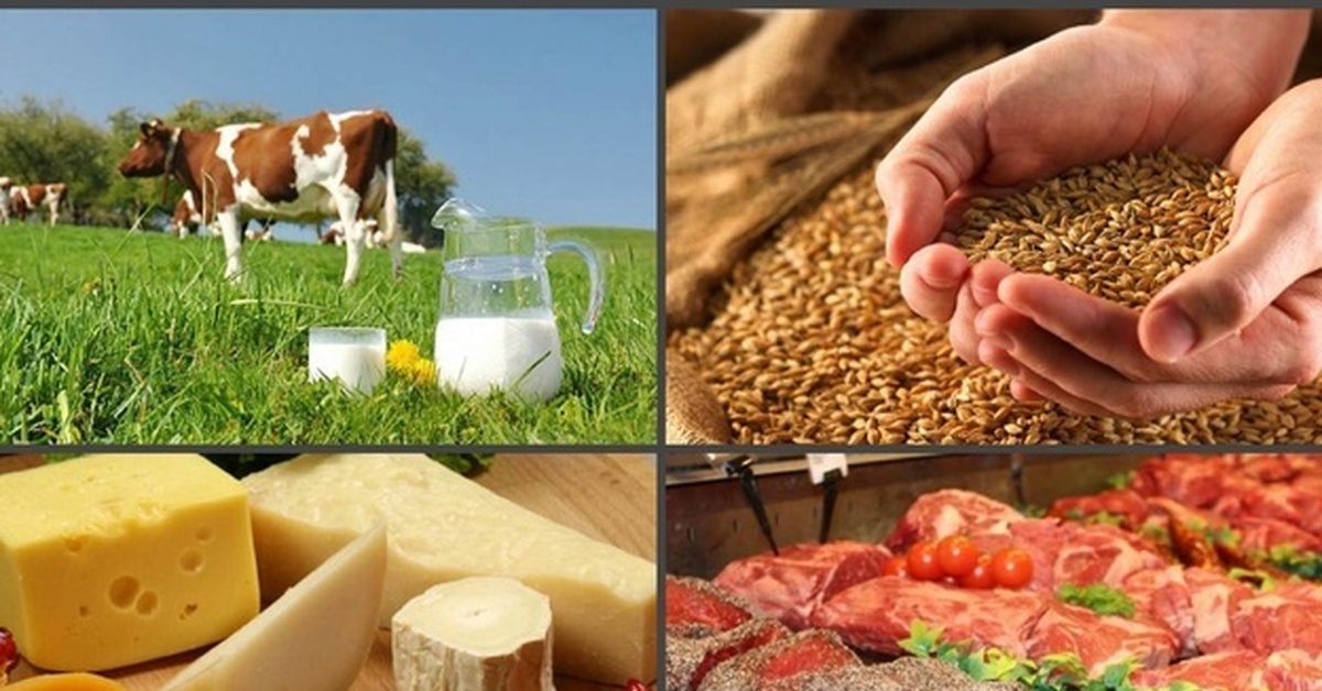 EEK elimizdiń agroóńdeý salasyndaǵy tájirıbesine sholý jasady