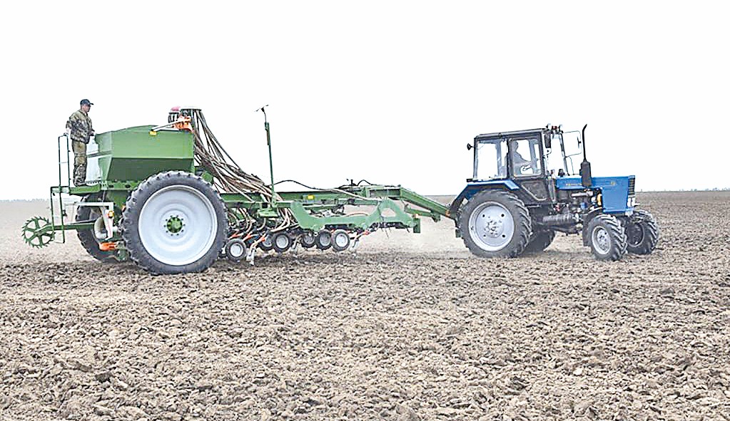 Alqap kúni aıasynda