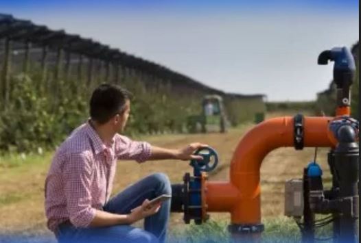 Sý mamandyqtaryna túsetin stýdentter úshin grant sany kóbeıdi