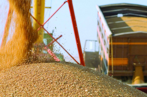 Qazaqstan eksporttaıtyn astyq kólemi artqan