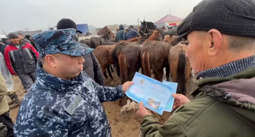 Uqypsyzdyń maly – urynyń «nany»