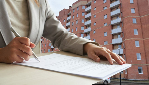 Jańa zańnyń jańalyǵy