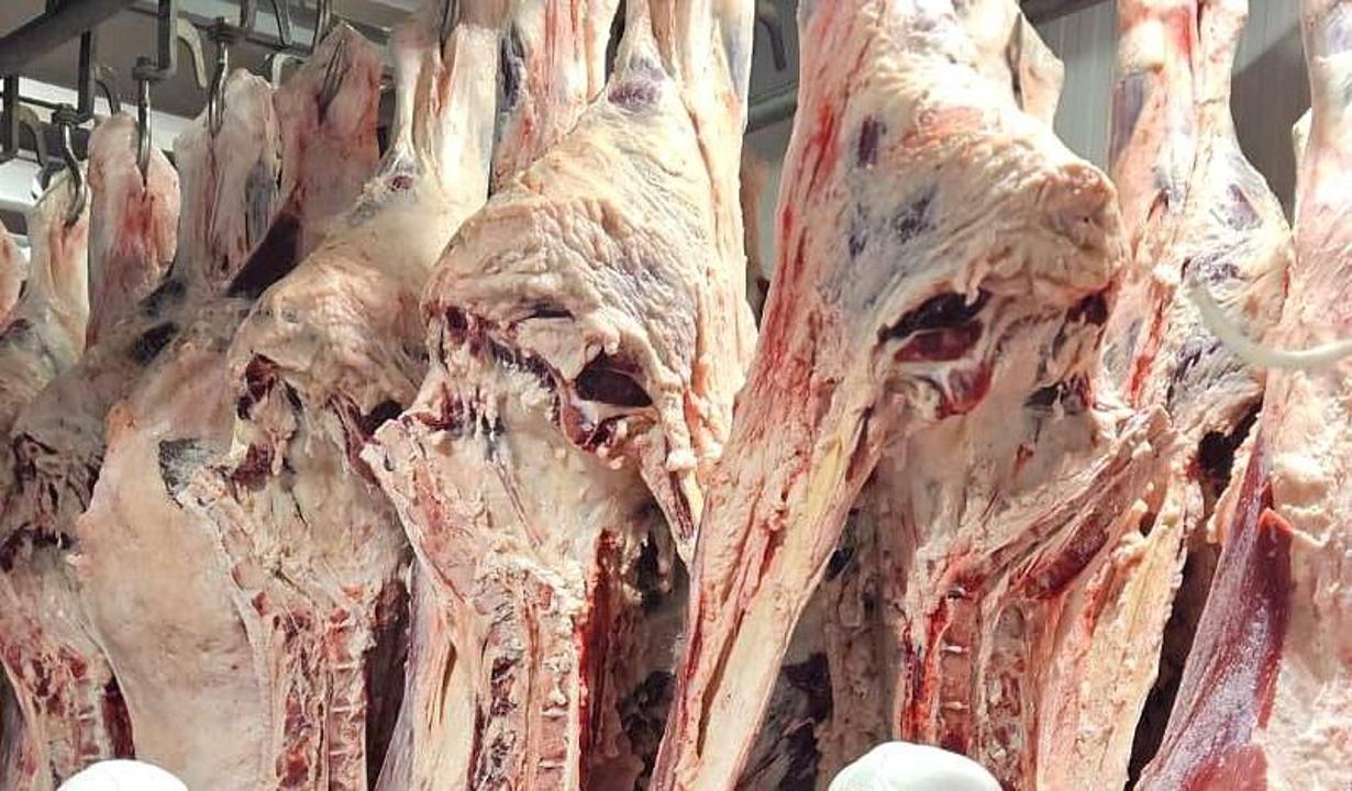 Kıik eti qaýipsiz: barlyq kezeńde jiti tekseriledi