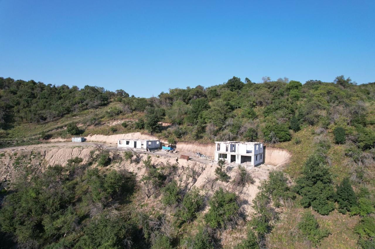 Taý bókterinen zańsyz nysandar súrildi