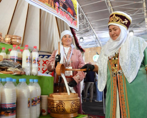 Qymyz – Uly dala qundylyǵy