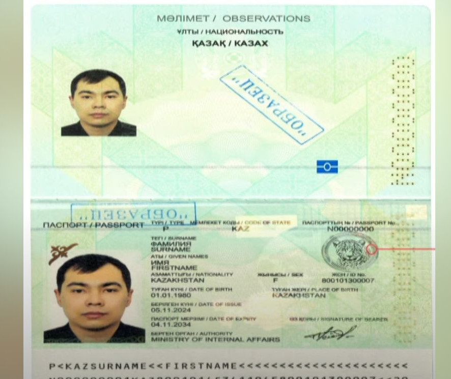 QR jańa pasportyna qar barysynyń beınesi engiziledi