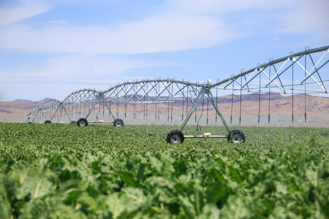 Jetisýda sý únemdeý tehnologııasy qaı deńgeıde?