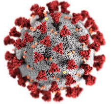 Chıkýngýnıa vırýsynyń indetke aınalý qaýpi bar