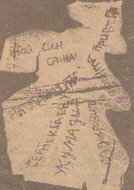 Japyraqpen joldanǵan saǵynysh