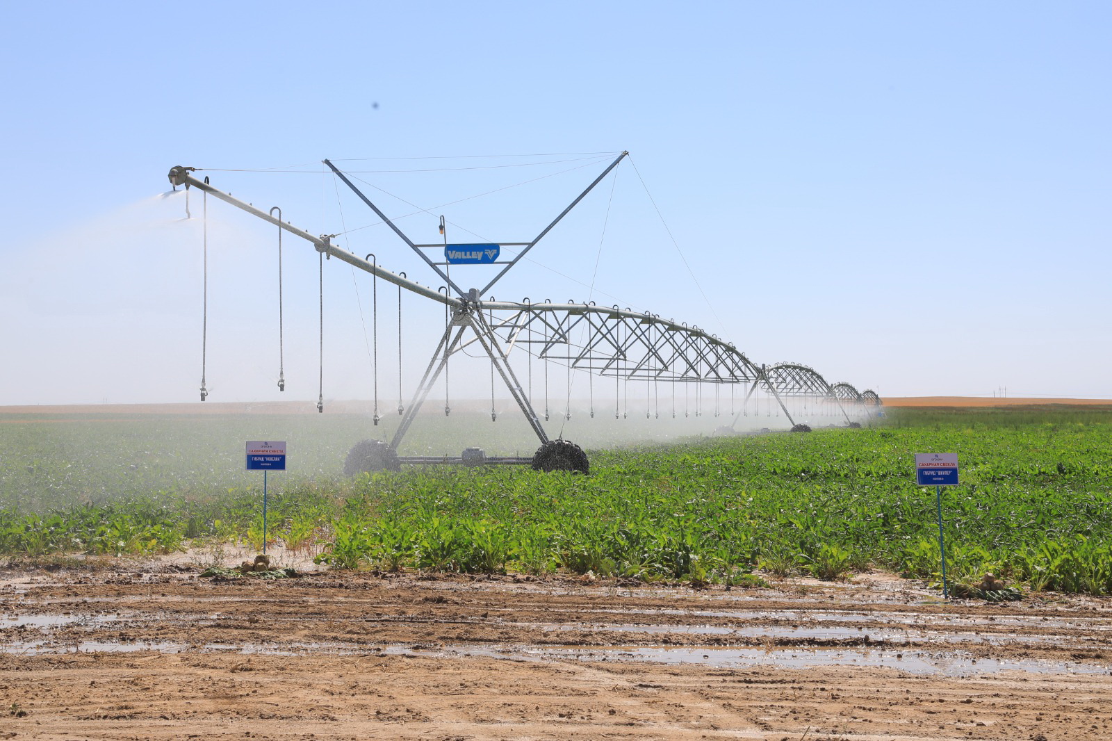 Sý únemdeý – ýaqyt talaby