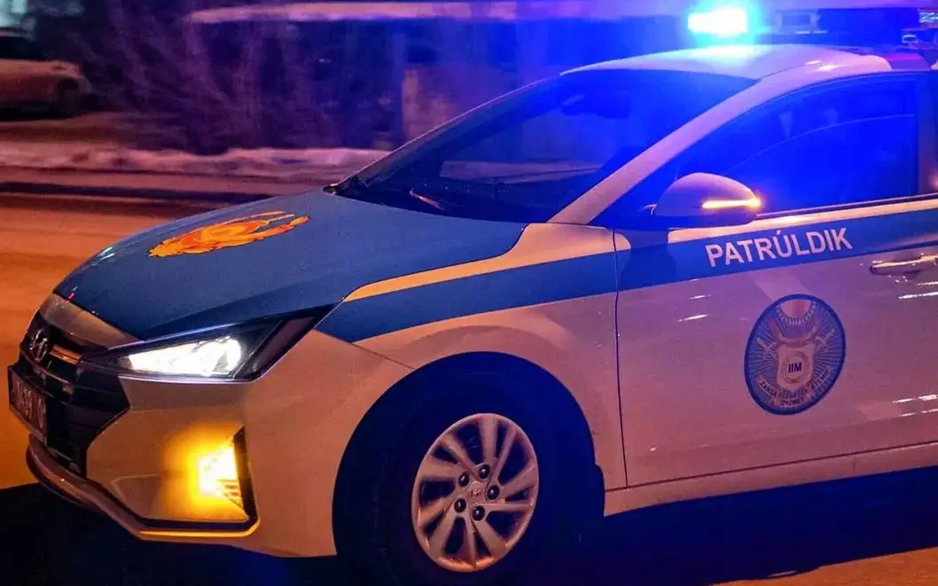 Almaty oblysynda aýyl ákimi mingen kólik aýdarylyp qaldy