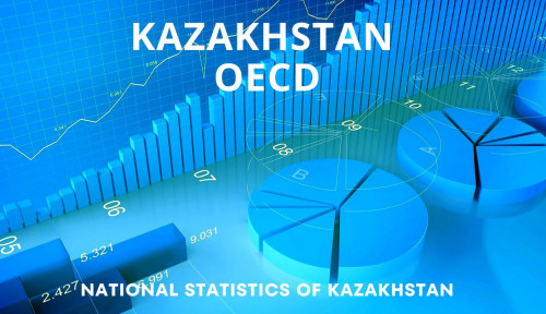 Qazaqstannyń statıstıkalyq júıesi joǵary baǵalandy