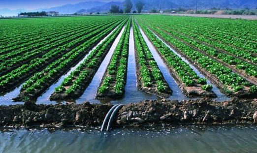 Egis alqaptaryna 8 mlrd tekshe metrden astam sý jiberilgen