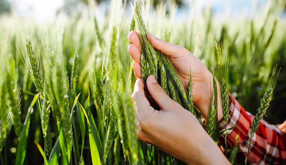 Agrarlyq sektorda 6 myńnan astam jumys orny ashylady