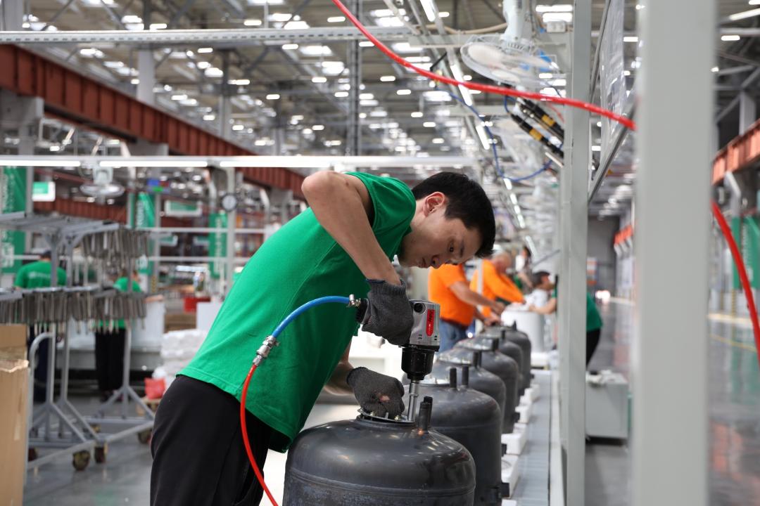 Saranǵa serpilis bergen seriktestikter