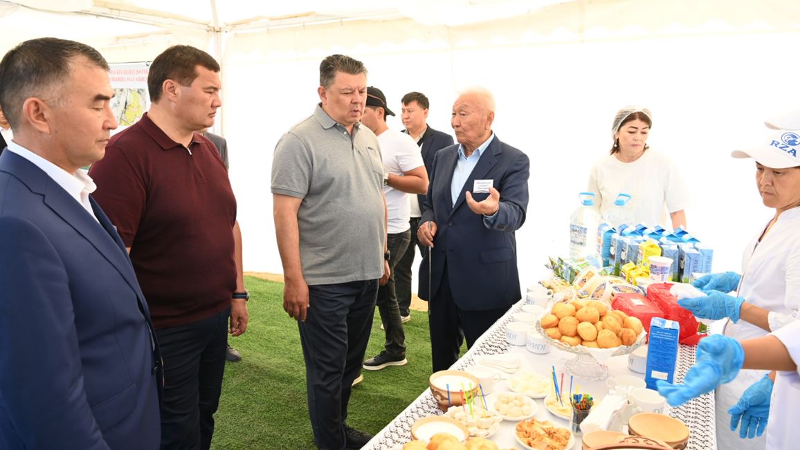 Vıse-mınıstr Qyzylorda sharýalarymen kezdesti