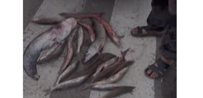 BQO turǵyny bekire tasymaldap ustaldy